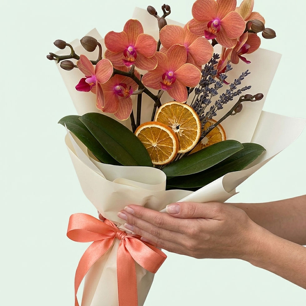 Küçük resim: Phalaenopsis 'Bolzano'