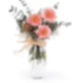 Vazoda 3'lü Pembe Gerbera