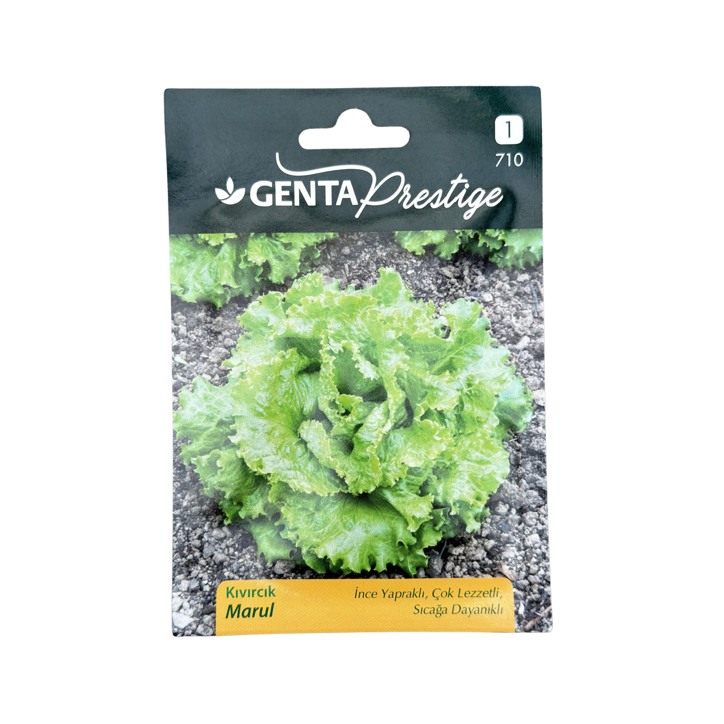 Kıvırcık Marul Tohumu