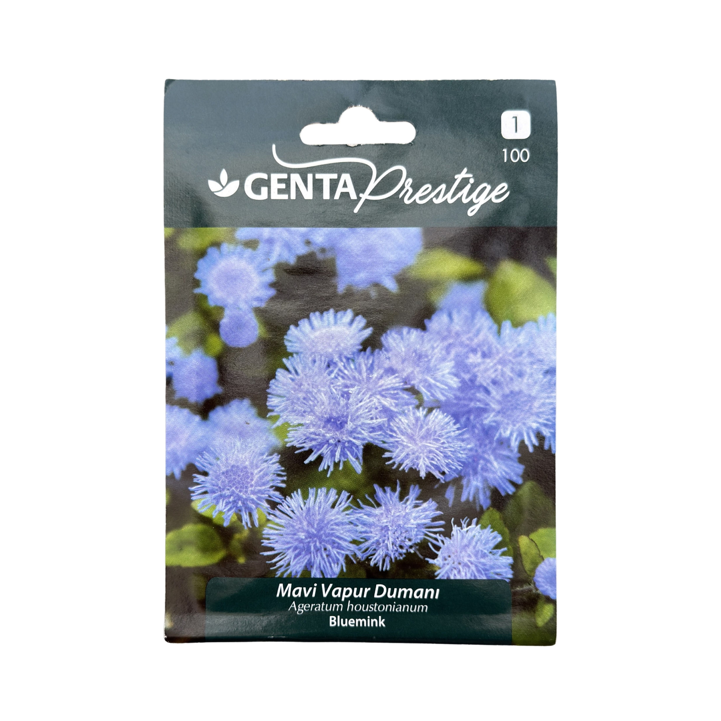 Ageratum Houstonianum (Mavi Vapur Dumanı Tohumu)