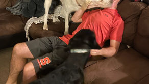 How To Improve Your Posture At Work