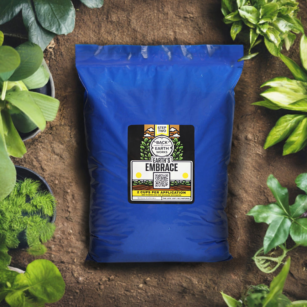 Worm castings with biochar for rebuilding living soil and soil biology