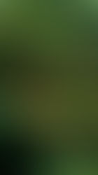 Transforming Landscapes: The Critical Role of Soil