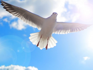 直感で判断して自分に還る時間を過ごそう!