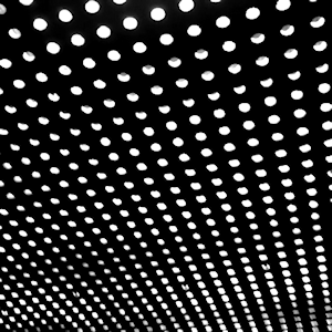 beach house - bloom
