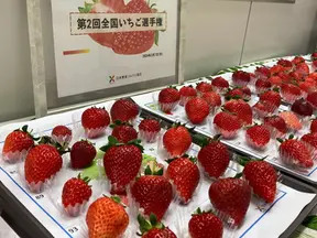 障がいを持つ子供の野菜嫌いのワケ