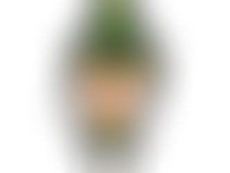 嘘つき