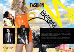 Notion-media-pack-2013 copy 11.jpeg