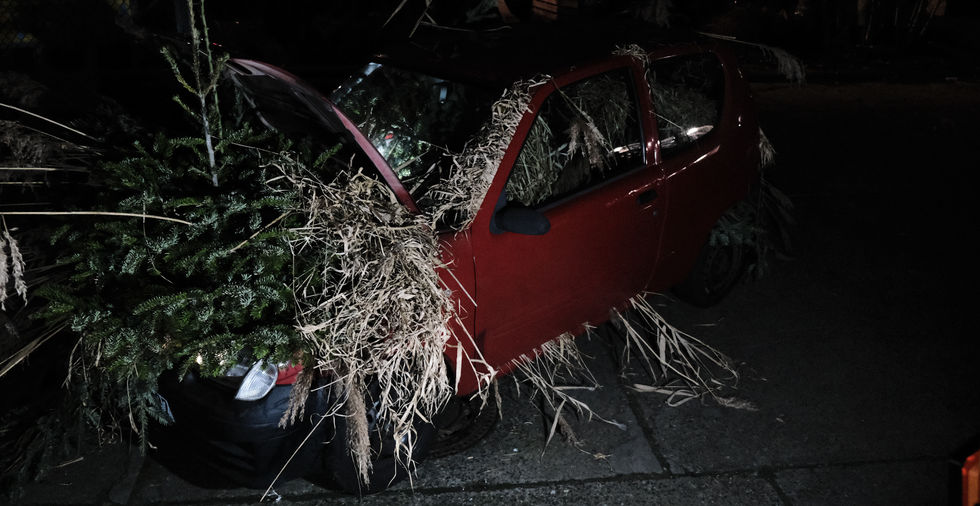 Kinga Kielczynska, XVII, 2023. Installation view, CARPARK, 2023. Photo: Jiri Abendt.