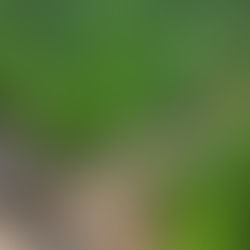 How Inflation has Impacted Construction Costs