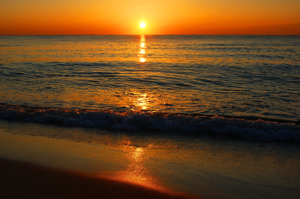 Sunset228