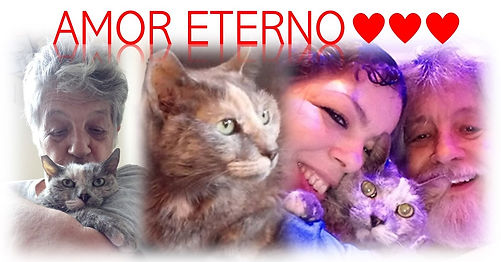 ALBUM DE FAMILIA COM CINZINHA.jpg