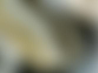 Evde Ekmek Yapımı İçin En İyi Seçenek: Plastik Mayalama Sepeti