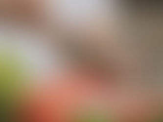 Şef Bıçağı Nasıl Seçilir?