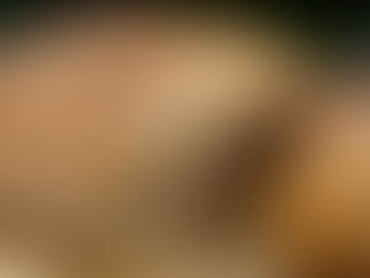 Ekşi Maya Sulanırsa ne olur?