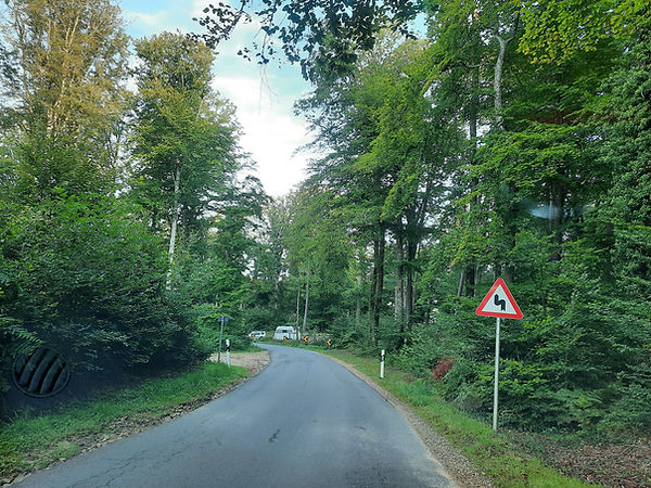 20210919_090423.jpg