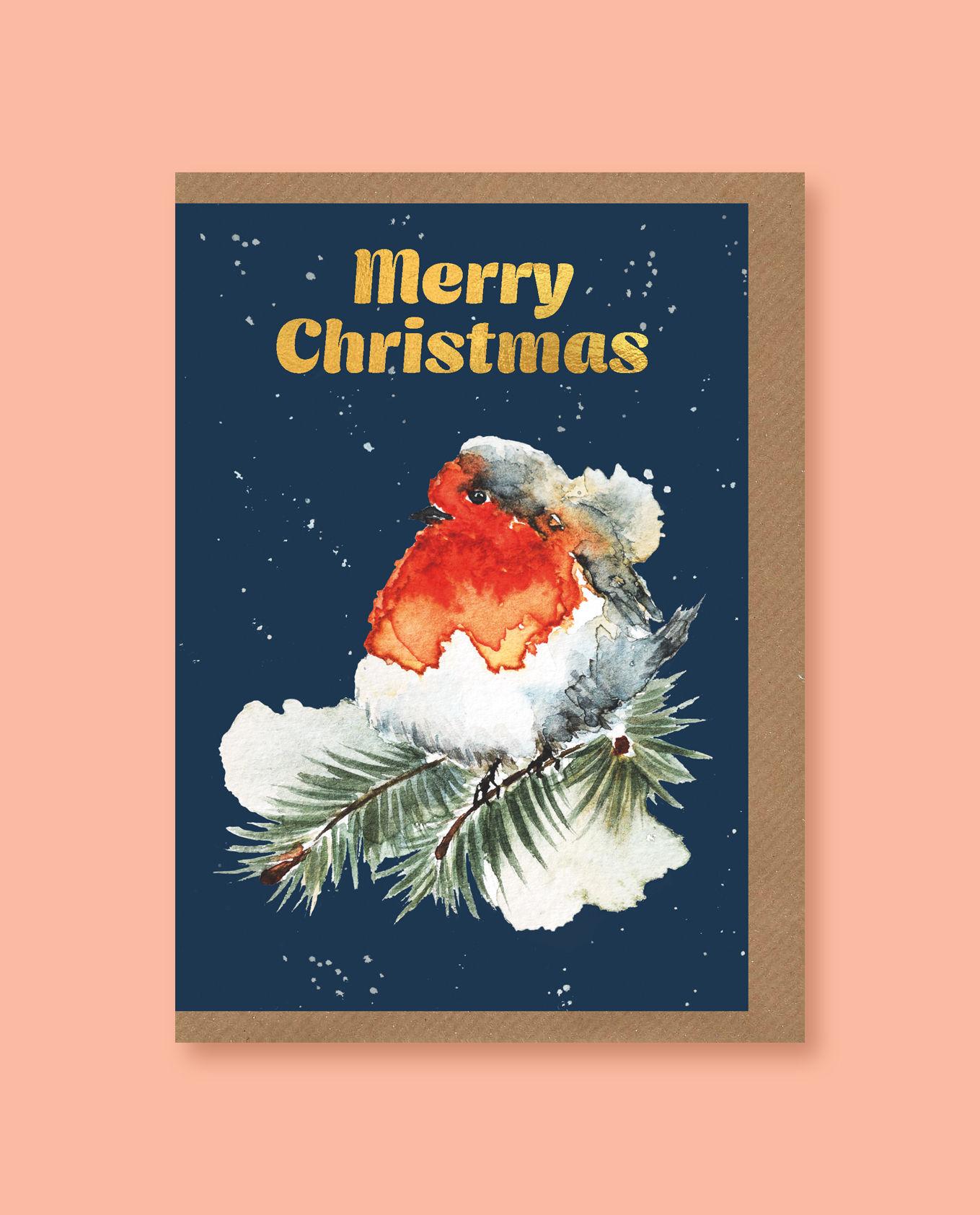 'Merry Christmas' Robin card