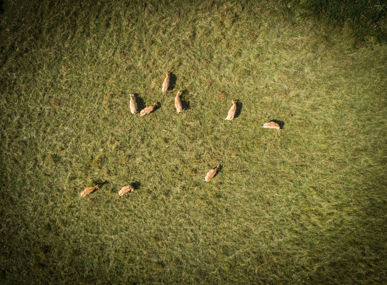 © Latitude Drone