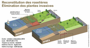 Les principes du projet de restauration en schémas