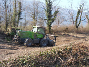 Début des travaux de bûcheronnage !
