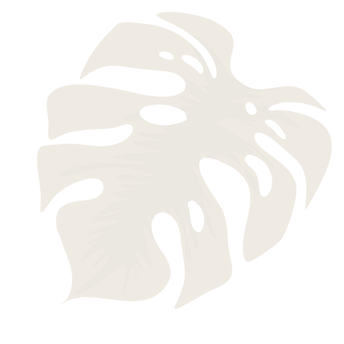 Bilasita Website Element