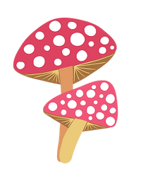 houbicky.webp
