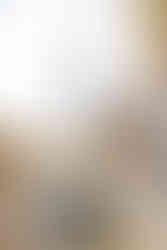 Middletown, Ohio Newborn Photography Studio Little Babe Studio Lighting Backdrops Props