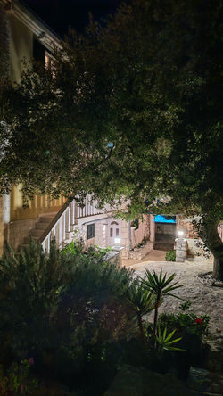 Villa Ana Night (19)