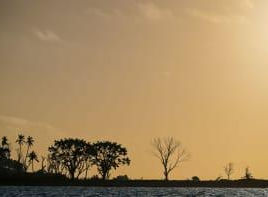 Sun setting over dry lands.