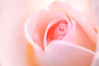 457151_l.jpg