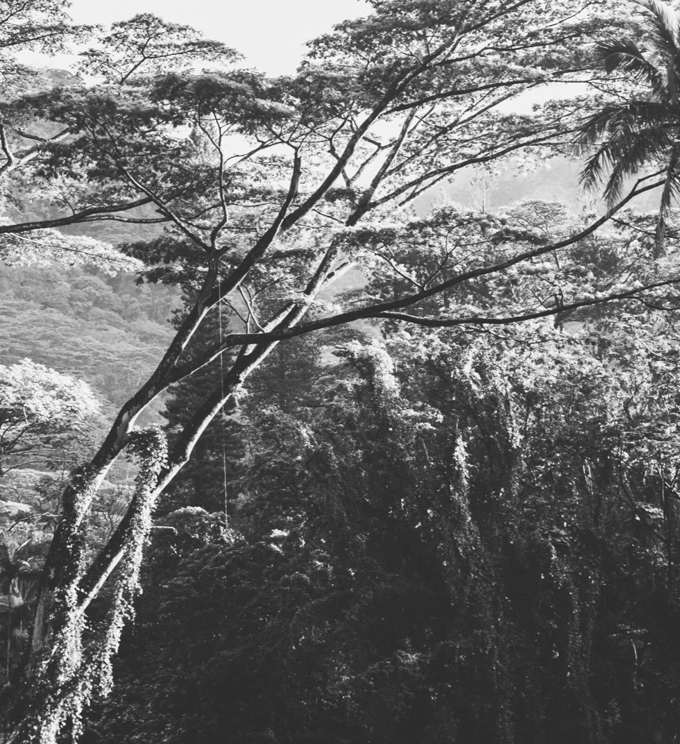 Beautiful Nature_edited.jpg