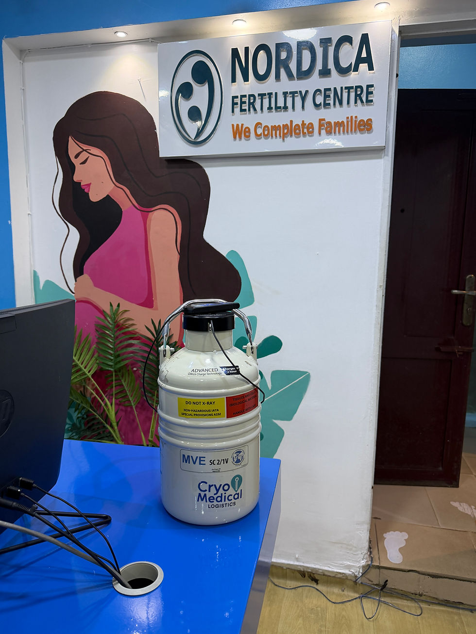 USA to Nigeria Embryos, Sperm, and Eggs Shipping: The Complete Guide