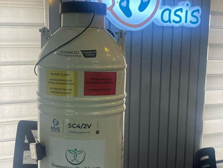 Safe and Reliable Cryo Shipping in Nigeria: Secure Hand Carry Transport for Human Embryos, Sperm Cells and Egg Cells 