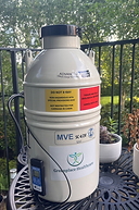 HFEA-compliant cryo shipping, IATA standard cryogenic transport, GMP certified IVF couriers, Medical courier services, Cryogenic logistics, Frozen biological material transport, IVF specimen courier, Cryo logistics for fertility, Secure cryo transport, IVF couriers Africa, Cryo shipping Nigeria, Cryogenic transport Ghana, Embryo shipping Kenya, Sperm transport USA, Oocyte shipping Cyprus, Stem cell transport Latin America, IVF couriers, Cryo shipping, Cryogenic transport, Embryo shipping, Sperm transport, Oocyte transport, Stem cell shipping, Biological material transport