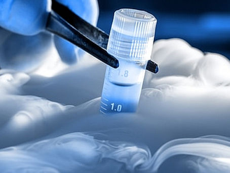 Exporting Embryos and Gametes from the UK: A Comprehensive Guide by Greenplace Healthcare