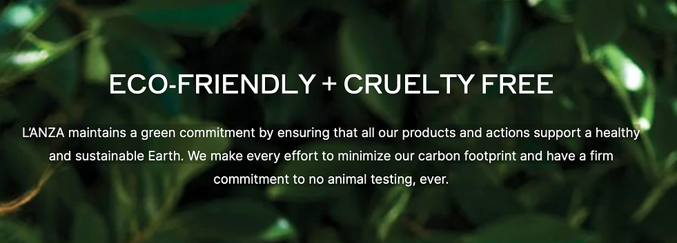 Screen Shot 2025-02-07 at 10.04.22 PM.png