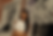 Screen Shot 2025-11-13 at 6.07.58 PM.png
