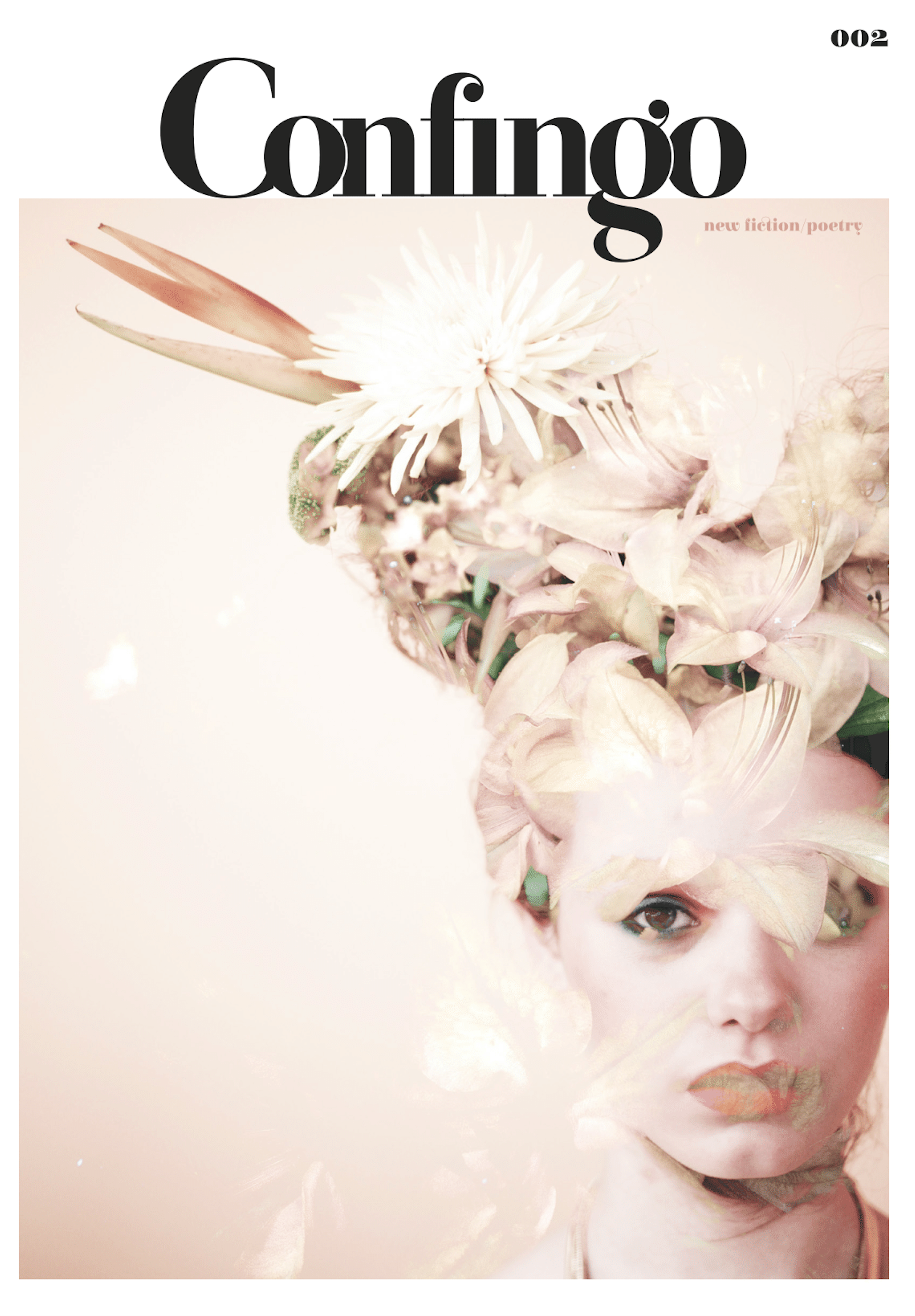 Cõnfingō 2 - Digital Download