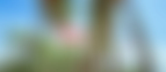 ပျူတို့မြို့ဟောင်း ဟန်လင်း ဆီ