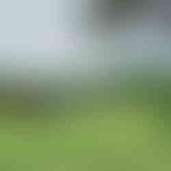 အပန်းဖြေဖို့ စားသောက်ဆိုင်နဲ့ ဘားဆိုင်တွေလည်း အနားမှာ ရှိပါသေးတယ်။