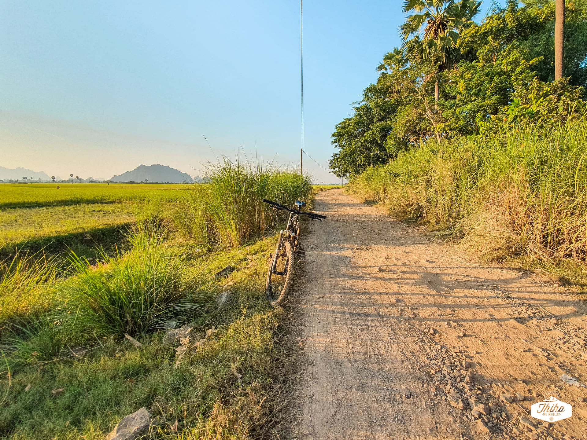 စိုက်ခင်းလယ်ကွင်းတွေကို ဖြတ်