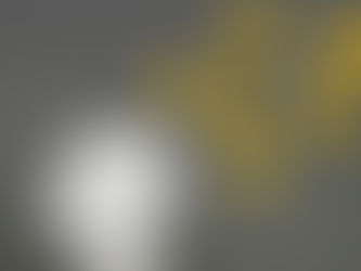 Common Assumptions about Business Agility Part 1