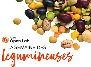 Capture d’écran 2026-02-27 224649.png