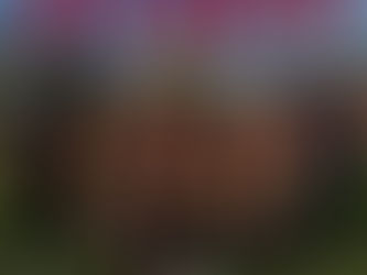 Staff tecnici 2025 - 2026: Under 14 maschile