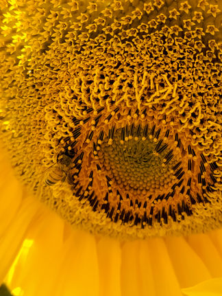 20221006_123310.jpg