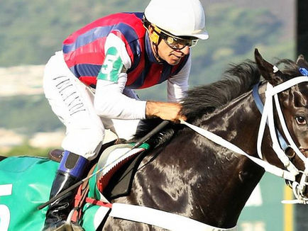 勇取神駒 來頭顯赫性能廣泛