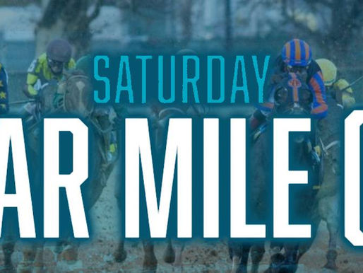 雪茄一哩賽 主教灣鬥雕塑奇才