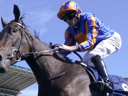 妙事多來錦標 古摩亞添旋威