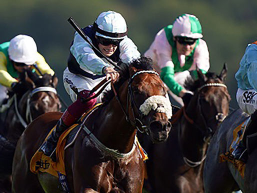 希鐸短途盃 「區域版圖」異軍突起