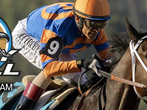 聖牛錦標 龍騰虎蹴強勢復出